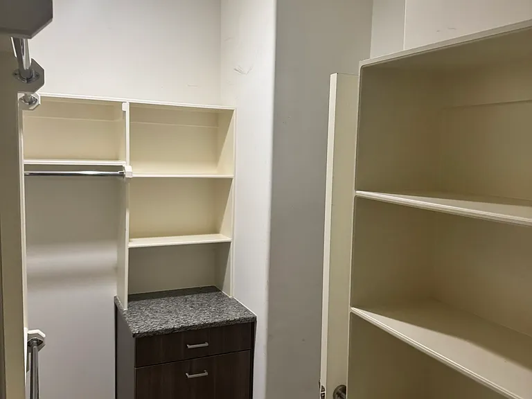 Primary Walk-in closet