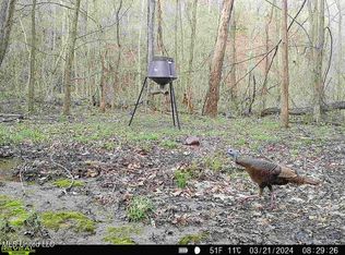 Highway 12, Lexington, MS 39095