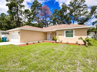 4107 Windota Ave, Spring Hill, FL 34606