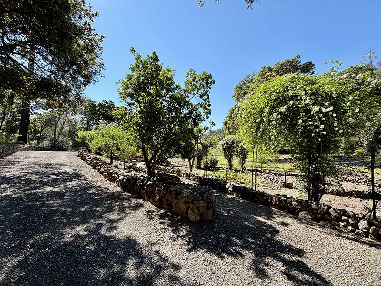 321 Dutch Henry Canyon Rd — Photo 37