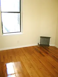 Rented by David Rothstein