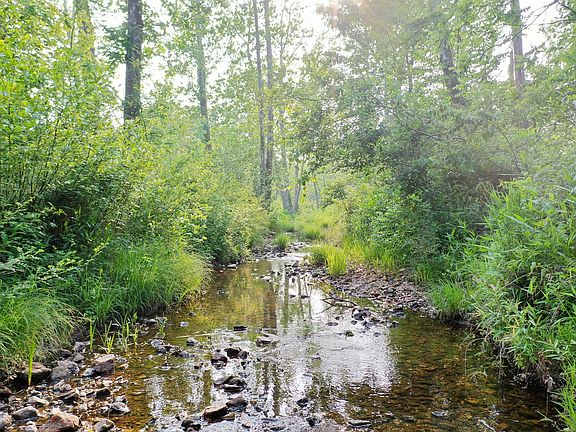 5th image of 12793 County Road 906
