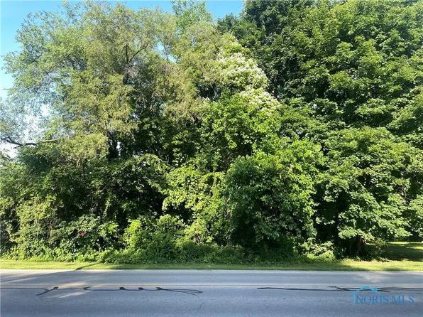 1623 Crissey Rd, Holland, OH 43528