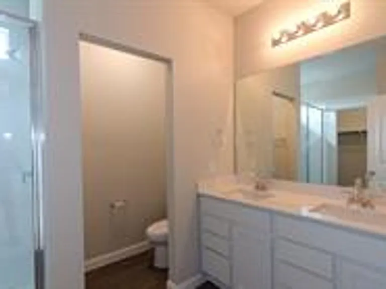 392 Fall Aster Dr — Photo 11