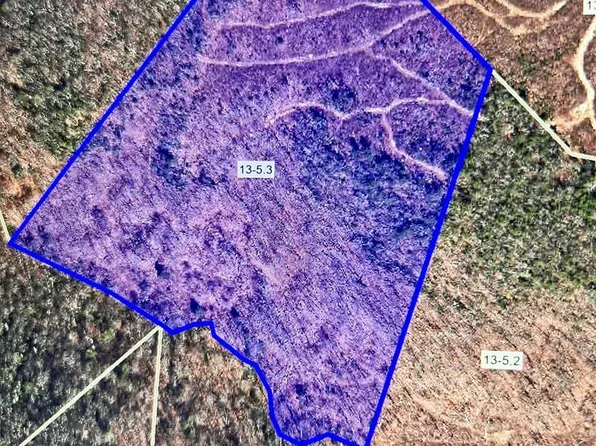 Basham Branch Rd, Jumping Branch, WV 25969