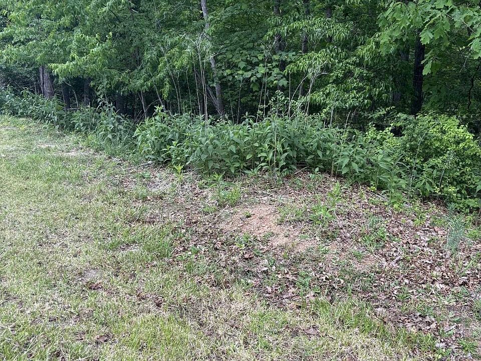 2nd image of Tbd Case Knife Rd