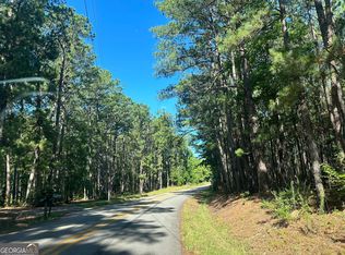 1644 Hopewell Rd, Forsyth, GA 31029