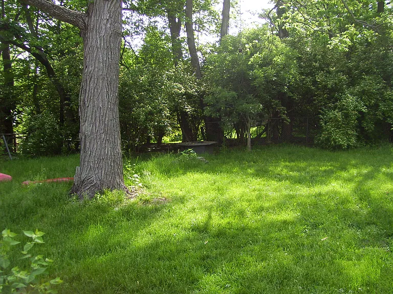 6878 Esther Ln — Photo 22