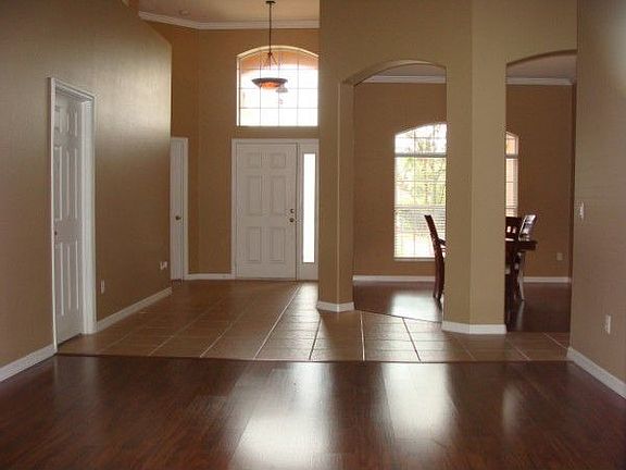 Designer Paint Tones