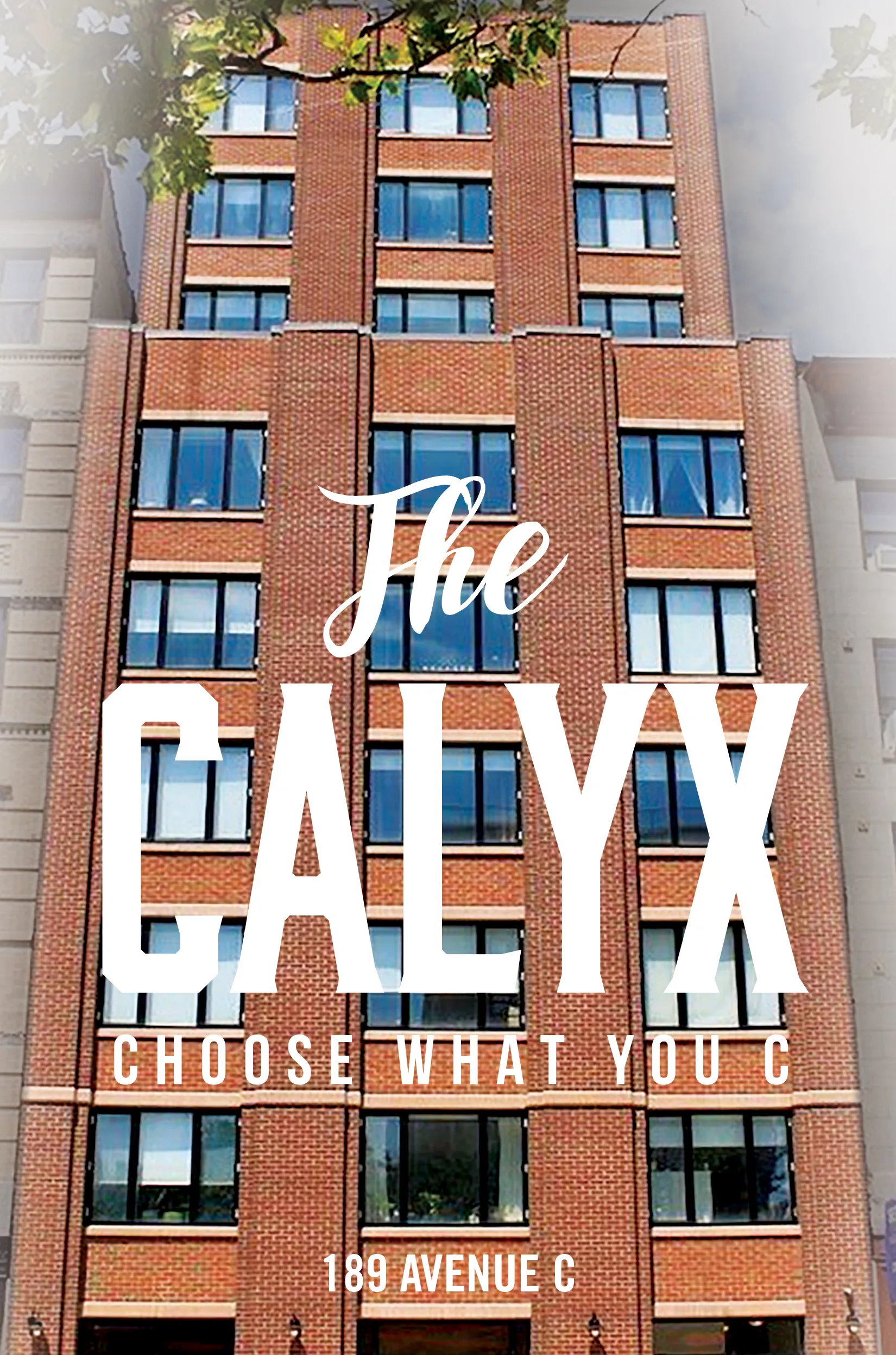 The Calyx at 189 Avenue C in East Village : Sales, Rentals
