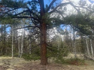 1213 Eagle Rock Rd, Florissant, CO 80816