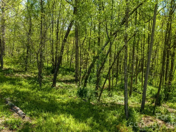 9999 Bee Balm Way #55, Asheville, NC 28804