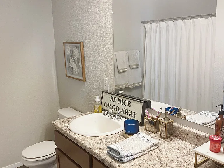 Hall bathroom