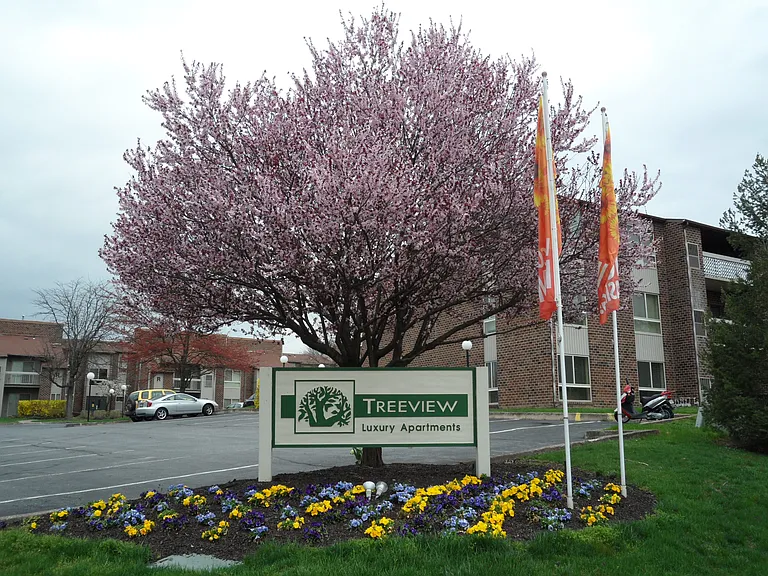 Treeview Apartments — Photo 7