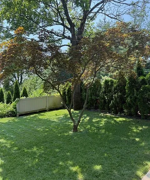 433 New Rochelle Rd — Photo 32
