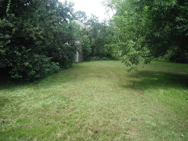 335 Virginia St — Photo 14