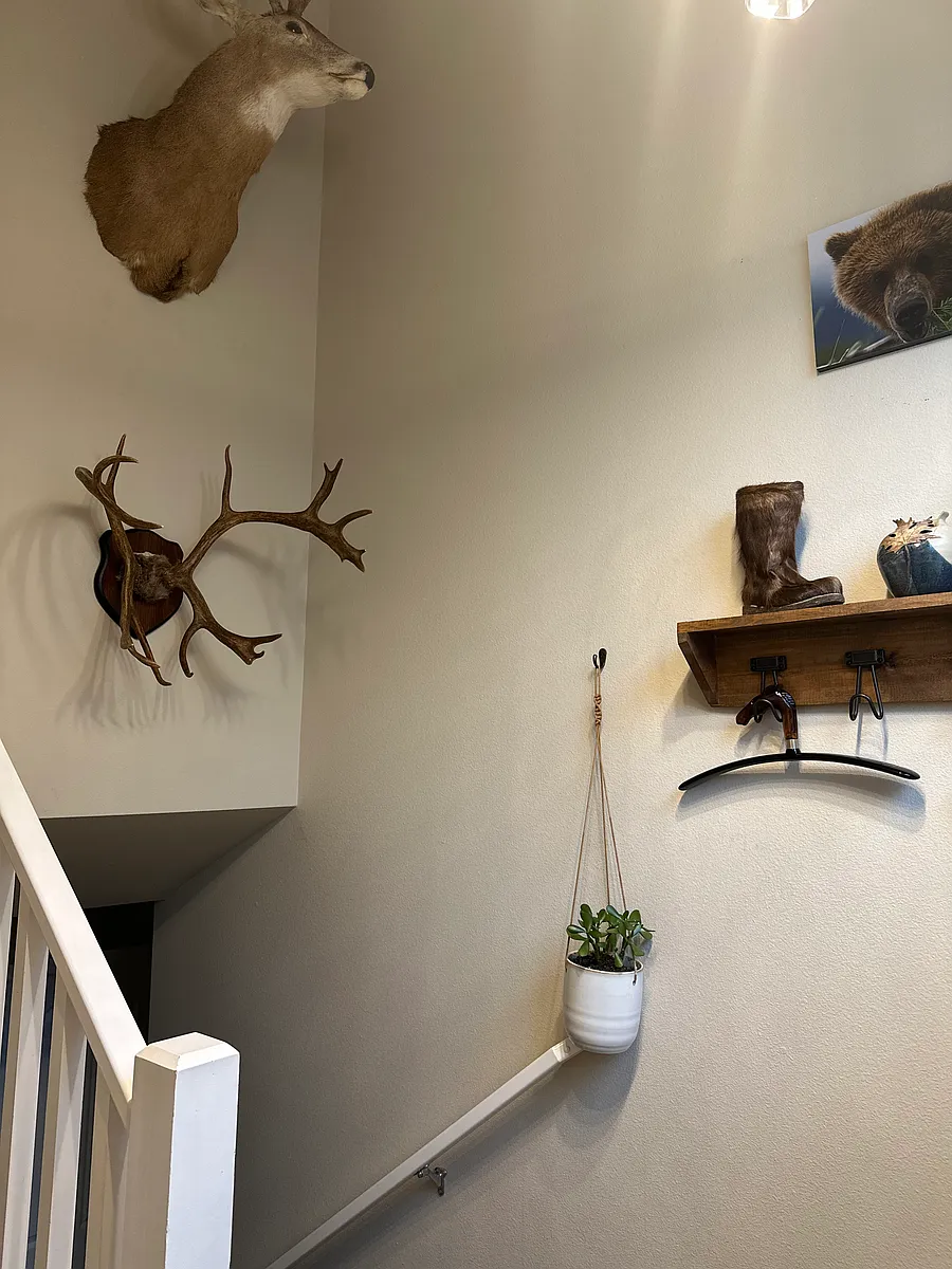 Photo 2 of 32 - Icefall Dr - Eagle River, AK Coat rack at entry - Icefall Dr