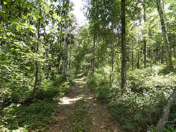 2nd image of Gamble Rd