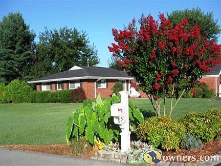 Street view with crepe mytrles in bloom
