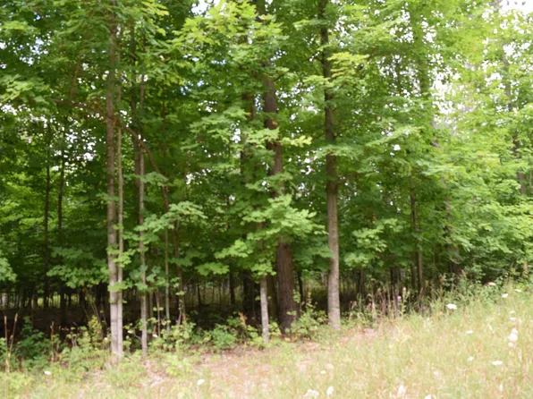 00B Rahe Rd, Kingsley, MI 49649