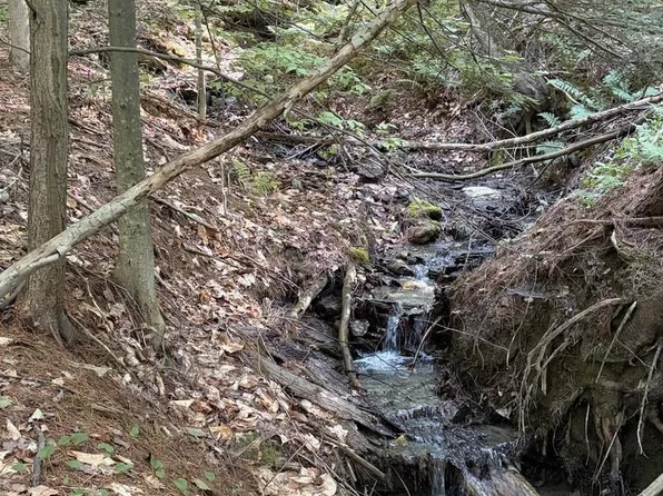 0 Old Carriage Road, Fayston, VT 05673