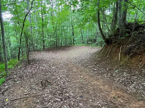 LOT 527 Three Farmers Top Dr, Murphy, NC 28906