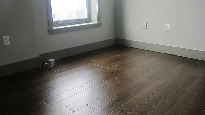 Rented by P Management | media 56