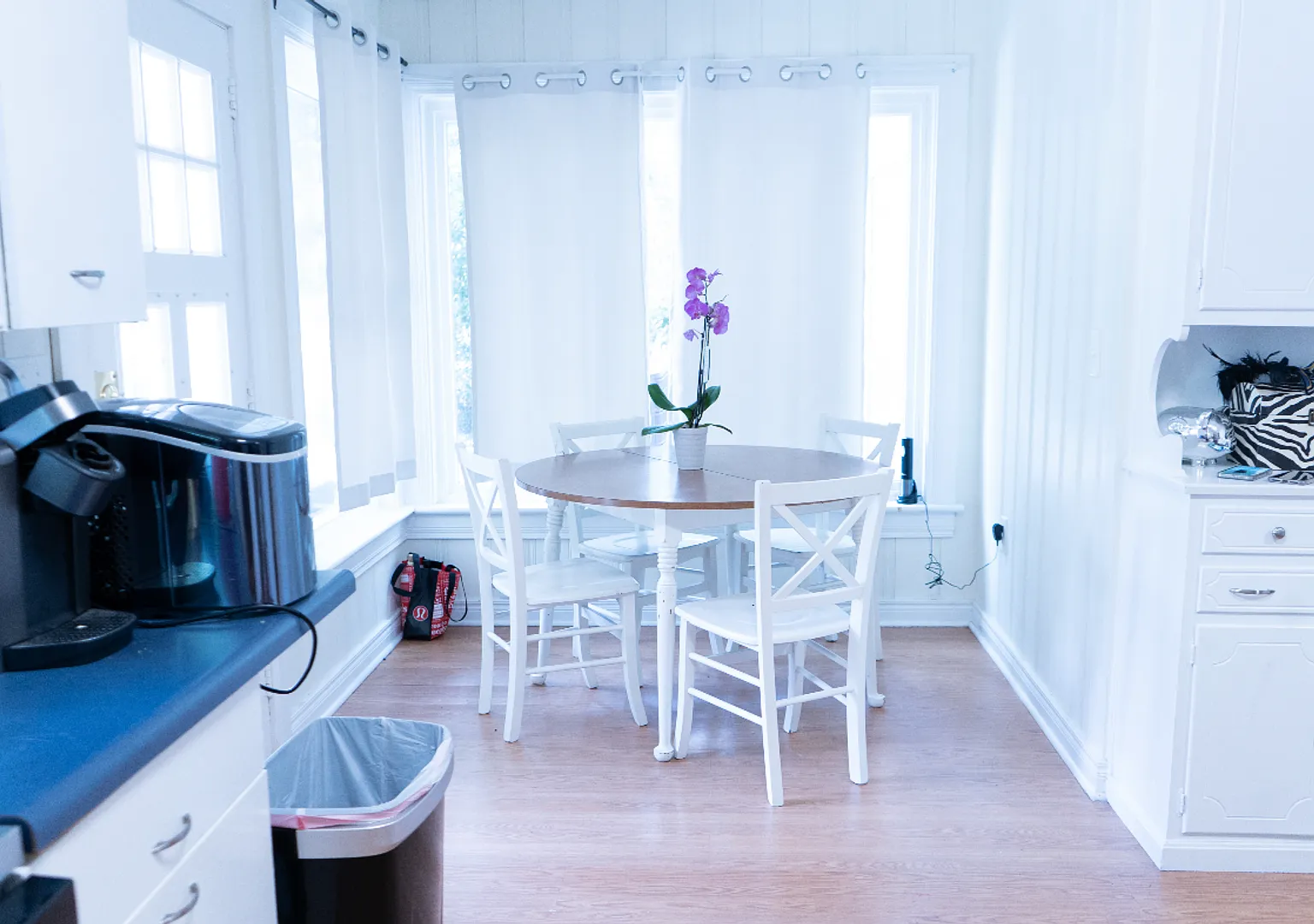 Grid house located next to campus available for rent Fall 0f 2027 — Photo 4