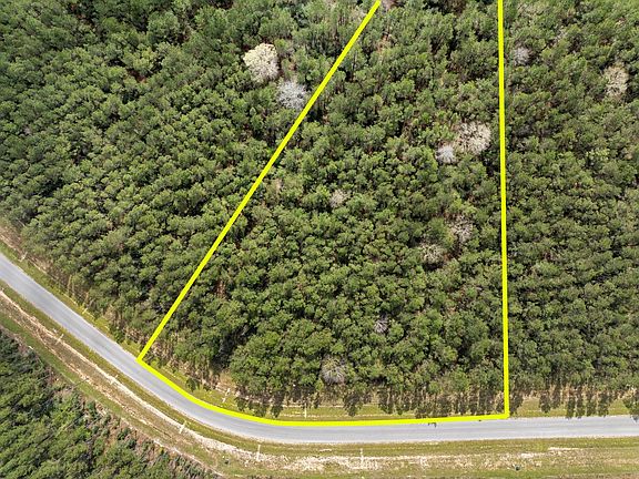 5th image of 16039 Forest Mill Rd