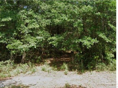 5033 Campground Rd, Milton, FL, 32583