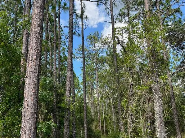000 NE 138 AVENUE LOT 9, WILLISTON, FL 32696