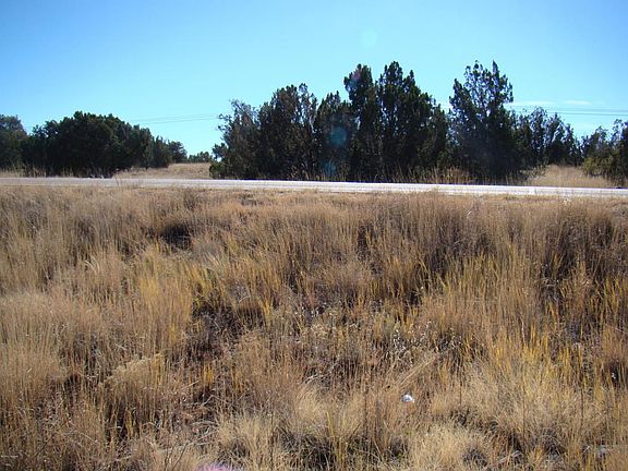 4th image of 8608 Silver Creek Dr