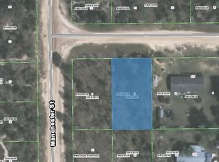 129 Lynnwood Ave, Interlachen, FL 32148