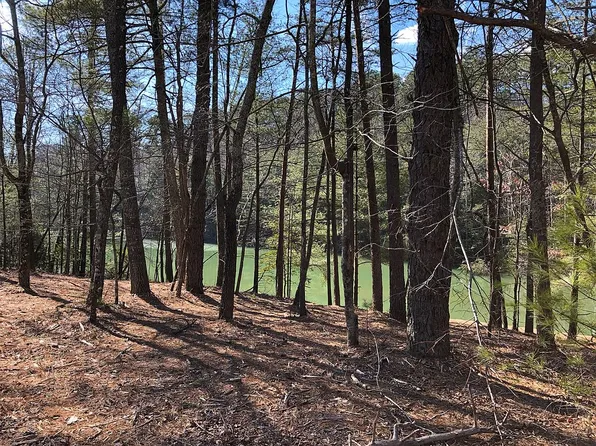 Baldwin Dr, Lowgap, NC 27024