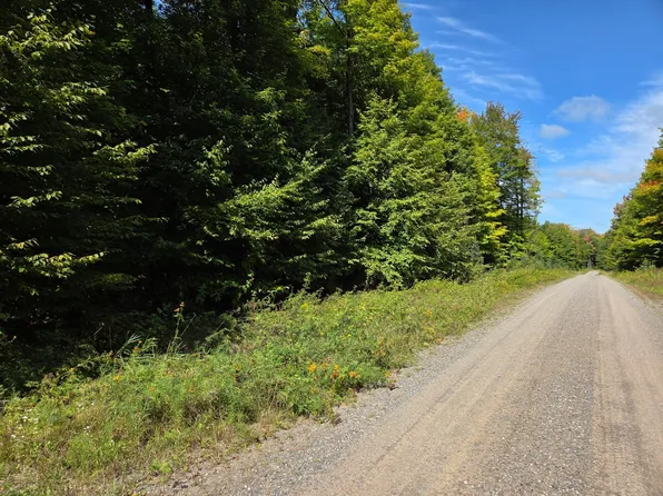 Elizabeth Rd, Iron River, MI 49935