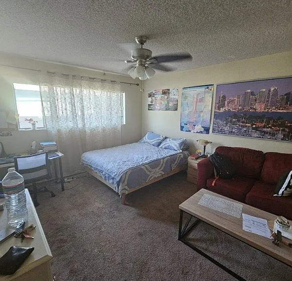 Seminole Dr — Photo 8