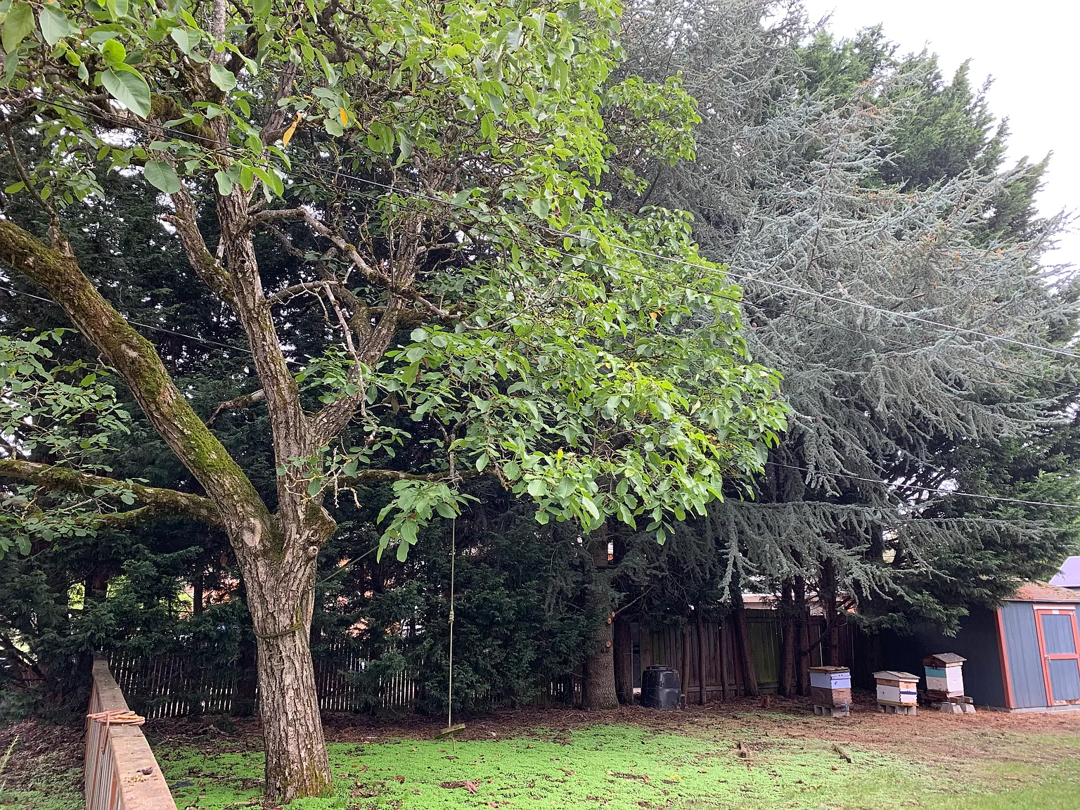 3 bed, 1600 sqft, $2,700 — Photo 3