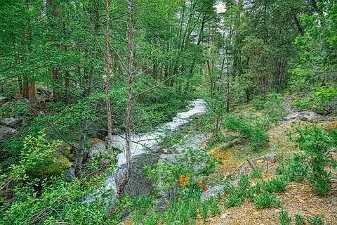 3rd image of 51823 Camp Sierra Rd