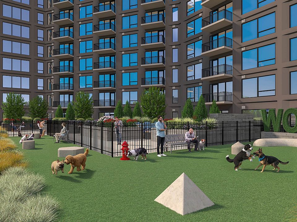 Expansive outdoor dog park amenity