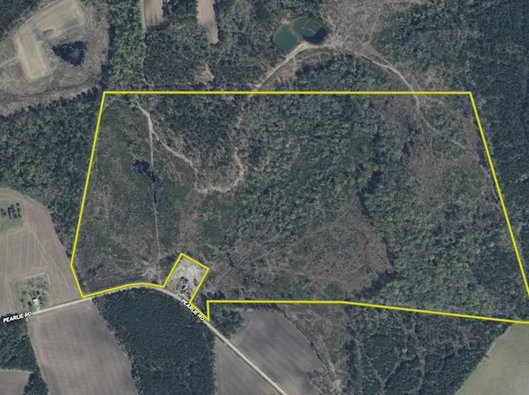 Pearlie Rd Lot Wp001, Hamer, SC 29547