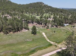 25966 Red Star Dr, Custer, SD 57730