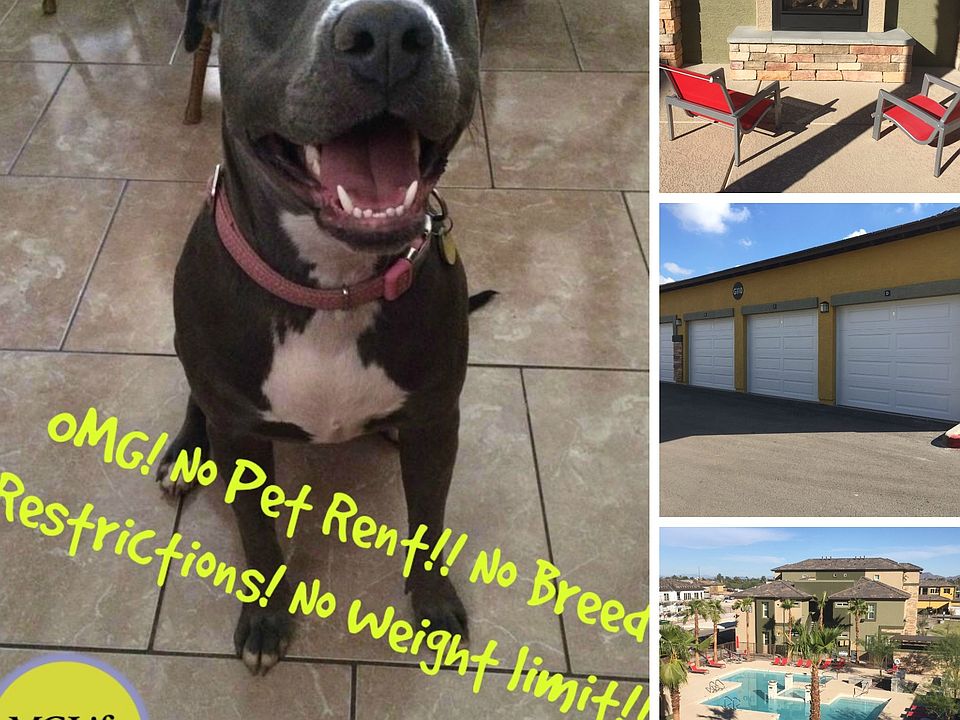 No Breed Restictions!