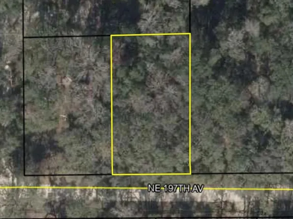 142 NE 197th Ave, Old Town, FL 32680