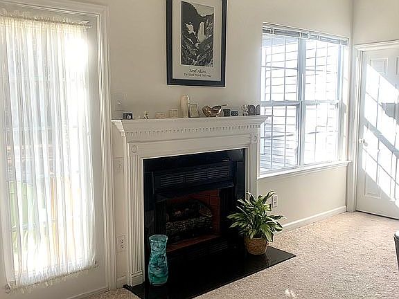 Gas fireplace logs in LR