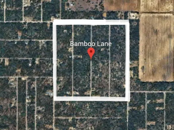 SW Bamboo Ln, Dunnellon, FL 34431
