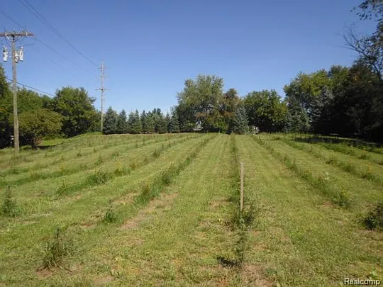 Amber Glen Dr photo 1