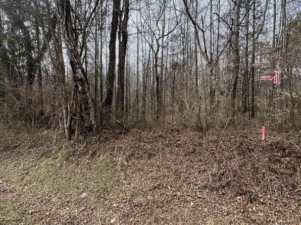 7 State Highway 304 Lot 7, Decatur, TN 37322