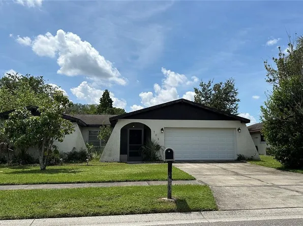 703 Sailfish Dr, Brandon, FL 33511