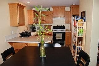 Kitchen opens up to back patio.