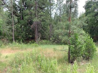 9432 Grizzly Flat Rd, Grizzly Flats, CA 95636